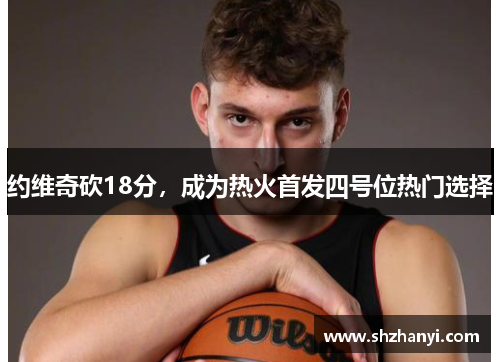 约维奇砍18分，成为热火首发四号位热门选择